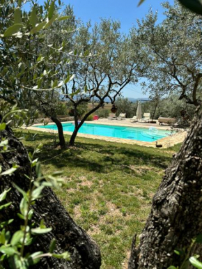 Agriturismo Uliveto Benedetti Spoleto
